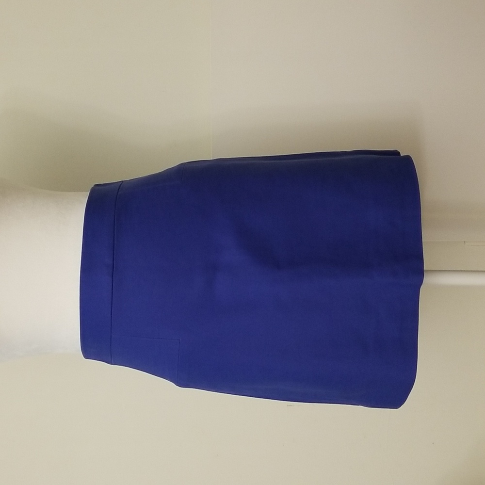 J.Crew Skirt